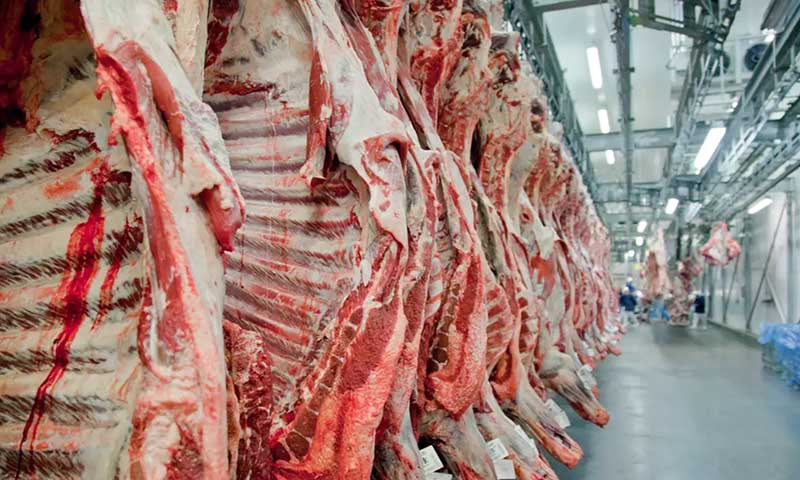 Bloco acusa Brasil de falhas sobre uso de antimicrobianos