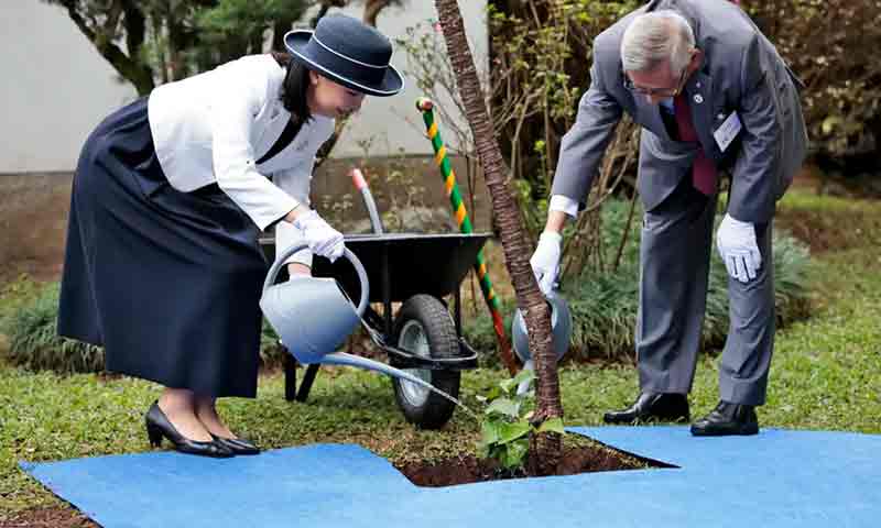 Princesa Kako, membro da família imperial japonesa