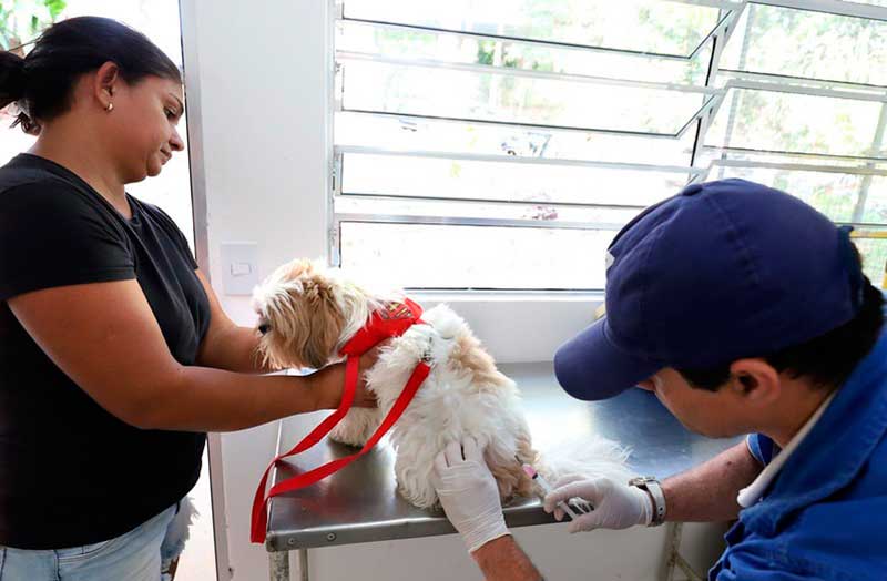 Município de Diadema conta com Unidade de Vigilância para ações preventivas e de combate a enfermidades